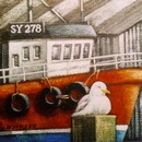 Artist's Work - Resting Gull 6 x 6 ins. Oil 